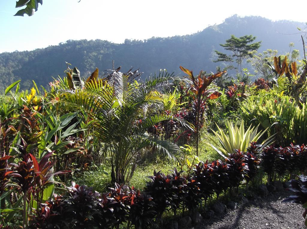 The Bukit Artha Bed & Breakfast Sidemen  Dış mekan fotoğraf