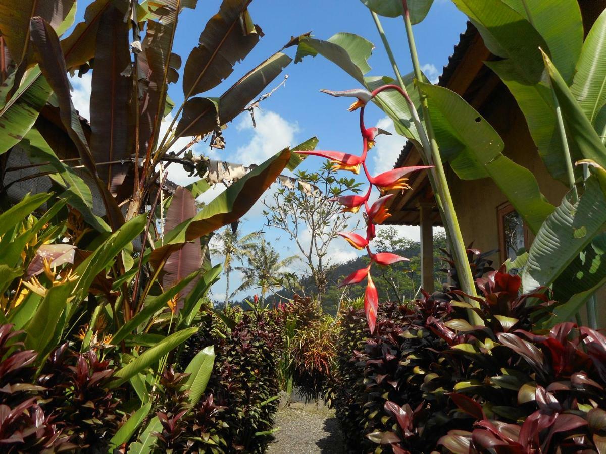 The Bukit Artha Bed & Breakfast Sidemen  Dış mekan fotoğraf