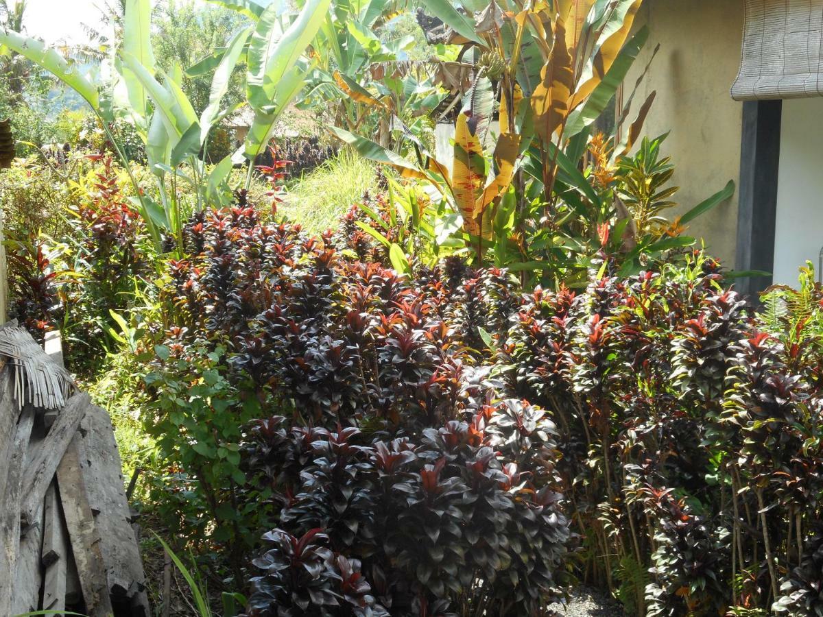 The Bukit Artha Bed & Breakfast Sidemen  Dış mekan fotoğraf